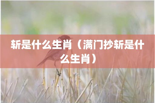 斩是什么生肖（满门抄斩是什么生肖）