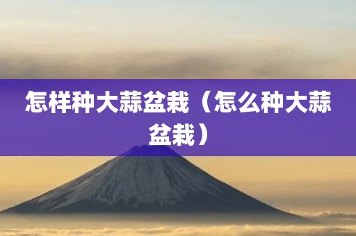 怎样种大蒜盆栽（怎么种大蒜盆栽）