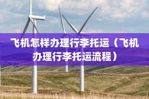 飞机怎样办理行李托运（飞机办理行李托运流程）