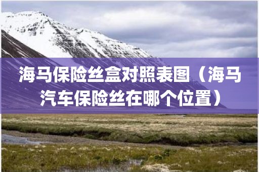海马保险丝盒对照表图（海马汽车保险丝在哪个位置）