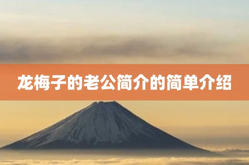 龙梅子的老公简介的简单介绍
