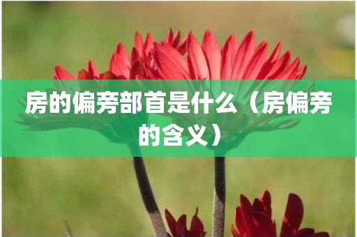 房的偏旁部首是什么（房偏旁的含义）