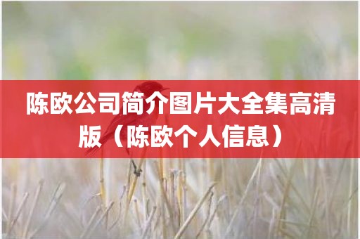 陈欧公司简介图片大全集高清版（陈欧个人信息）