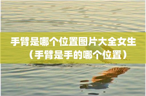 手臂是哪个位置图片大全女生(手臂是手的哪个位置) 手臂是哪个位置图片大全女生(手臂是手的哪个位置)