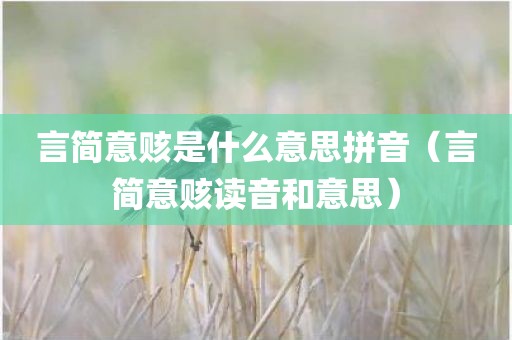 言简意赅是什么意思拼音（言简意赅读音和意思）