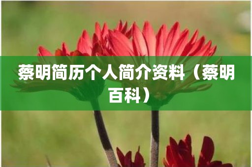 蔡明简历个人简介资料（蔡明 百科）