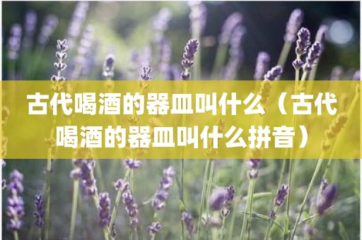 古代喝酒的器皿叫什么（古代喝酒的器皿叫什么拼音）