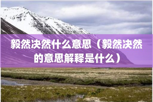 毅然决然什么意思（毅然决然的意思解释是什么）