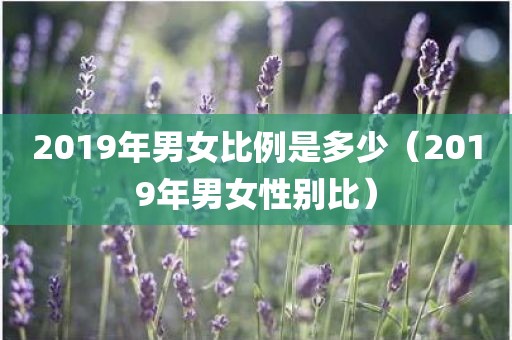 2019年男女比例是多少(2019年男女性别比) 2019年男女比例是多少(2019年男女性别比)