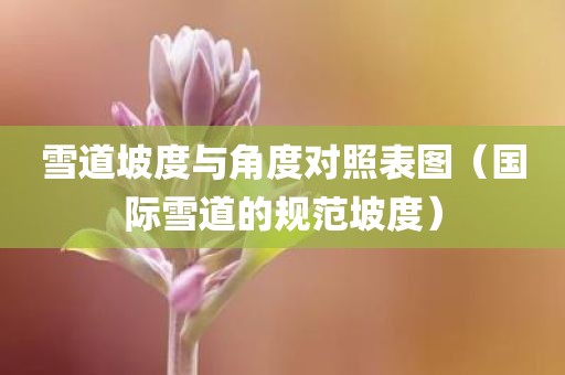 雪道坡度与角度对照表图（国际雪道的规范坡度）