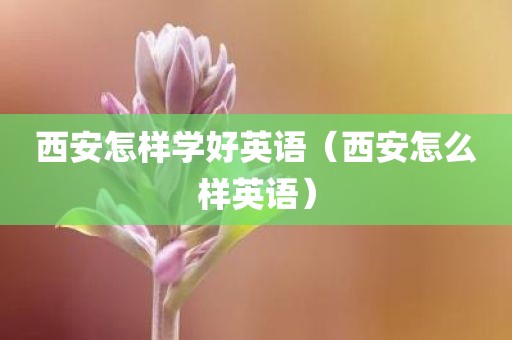西安怎样学好英语（西安怎么样英语）