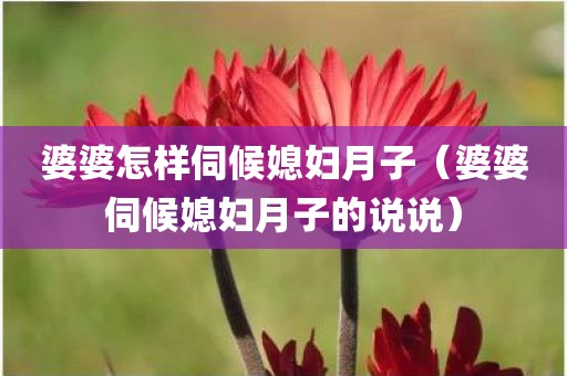 婆婆怎样伺候媳妇月子（婆婆伺候媳妇月子的说说）