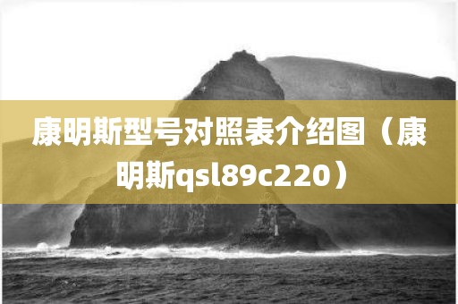 康明斯型号对照表介绍图(康明斯qsl89c220)
