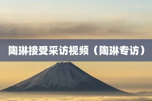 陶琳接受采访视频（陶琳专访）