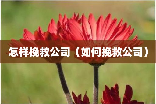 怎样挽救公司（如何挽救公司）