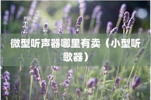 微型听声器哪里有卖（小型听歌器）