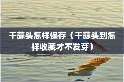 干蒜头怎样保存（干蒜头到怎样收藏才不发芽）