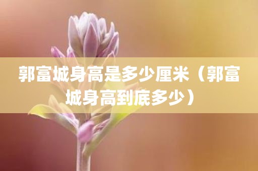 郭富城身高是多少厘米(郭富城身高到底多少)
