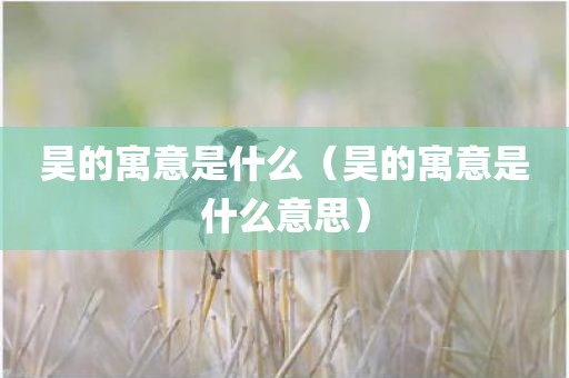 昊的寓意是什么（昊的寓意是什么意思）