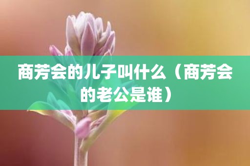 商芳会的儿子叫什么（商芳会的老公是谁）
