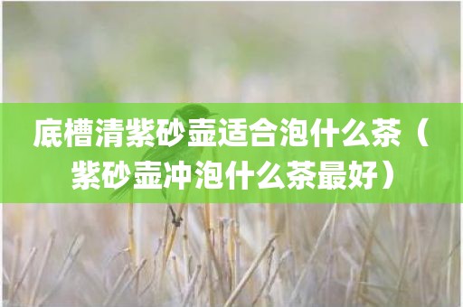 底槽清紫砂壶适合泡什么茶（紫砂壶冲泡什么茶最好）