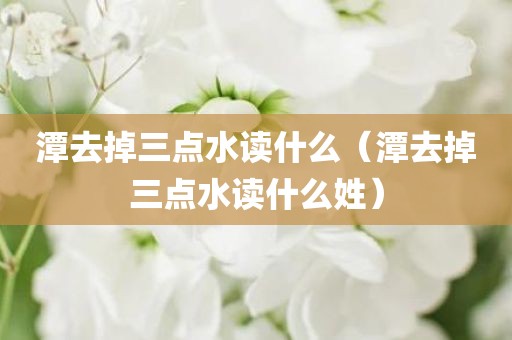 潭去掉三点水读什么（潭去掉三点水读什么姓）