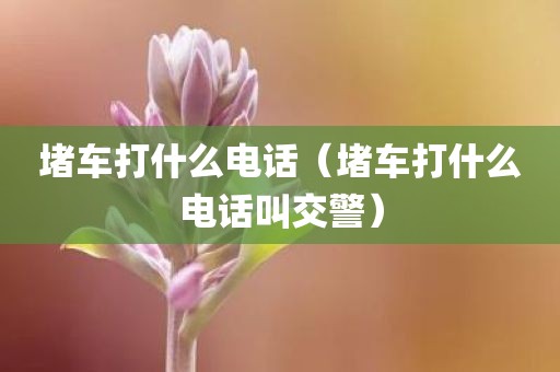 堵车打什么电话（堵车打什么电话叫交警）