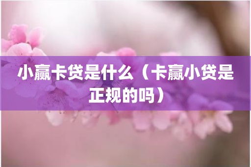 小赢卡贷是什么（卡赢小贷是正规的吗）