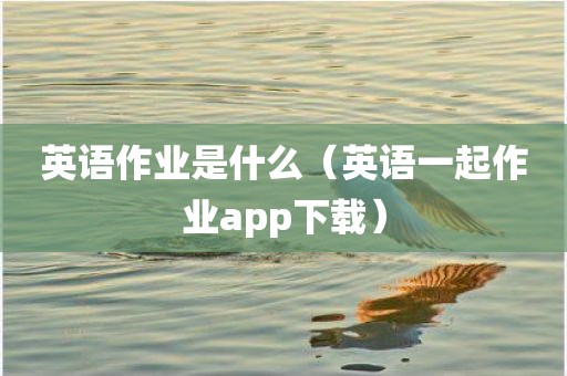 英语作业是什么（英语一起作业app下载）