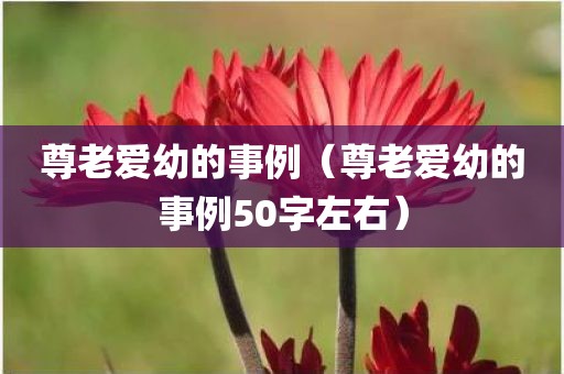 尊老爱幼的事例（尊老爱幼的事例50字左右）