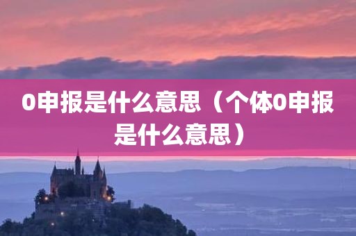 0申报是什么意思（个体0申报是什么意思）