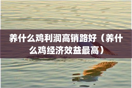 养什么鸡利润高销路好（养什么鸡经济效益最高）