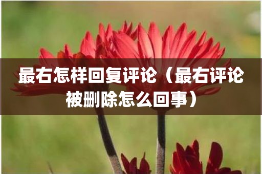最右怎样回复评论（最右评论被删除怎么回事）