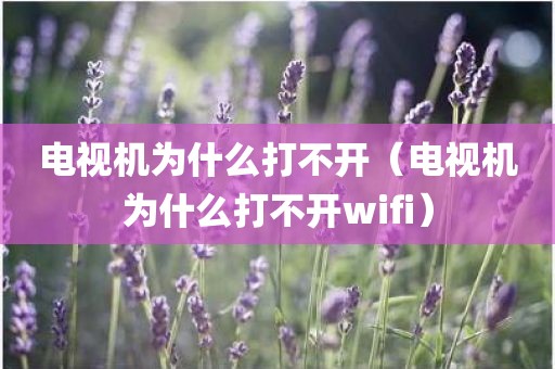 电视机为什么打不开（电视机为什么打不开wifi）