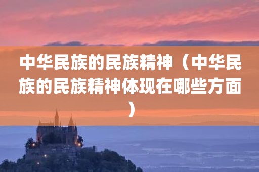 中华民族的民族精神（中华民族的民族精神体现在哪些方面）