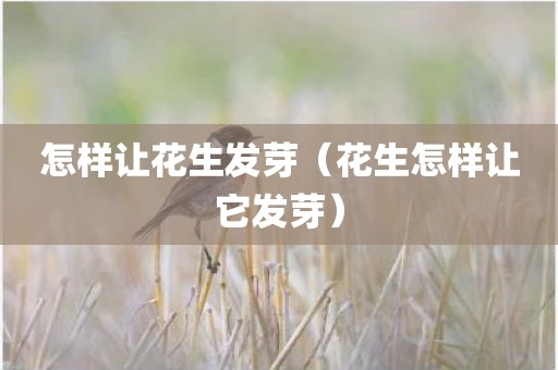 怎样让花生发芽（花生怎样让它发芽）