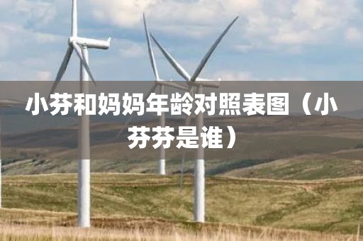 小芬和妈妈年龄对照表图（小芬芬是谁）