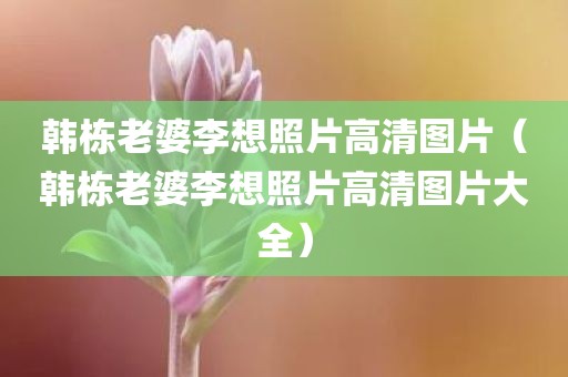 韩栋老婆李想照片高清图片（韩栋老婆李想照片高清图片大全）