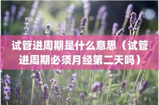 试管进周期是什么意思（试管进周期必须月经第二天吗）