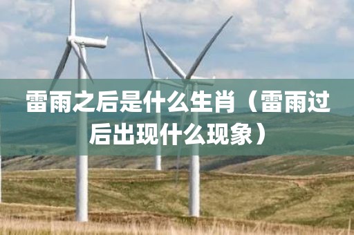 雷雨之后是什么生肖（雷雨过后出现什么现象）