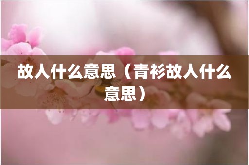 故人什么意思(青衫故人什么意思)