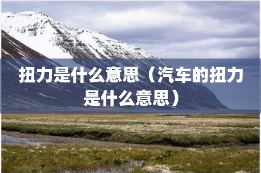 扭力是什么意思（汽车的扭力是什么意思）