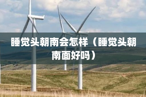 睡觉头朝南会怎样（睡觉头朝南面好吗）