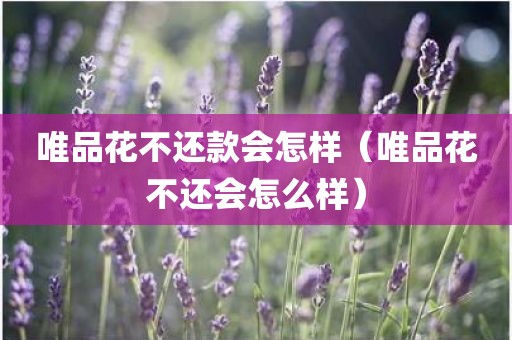 唯品花不还款会怎样（唯品花不还会怎么样）