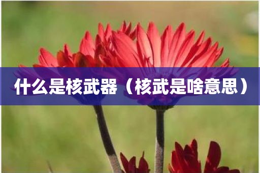 什么是核武器(核武是啥意思)