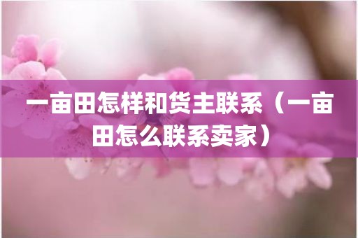 一亩田怎样和货主联系（一亩田怎么联系卖家）