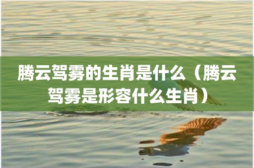 腾云驾雾的生肖是什么（腾云驾雾是形容什么生肖）
