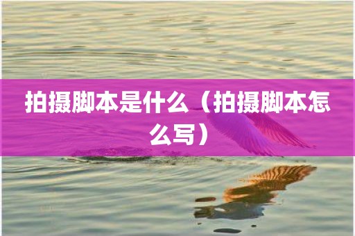 拍摄脚本是什么（拍摄脚本怎么写）