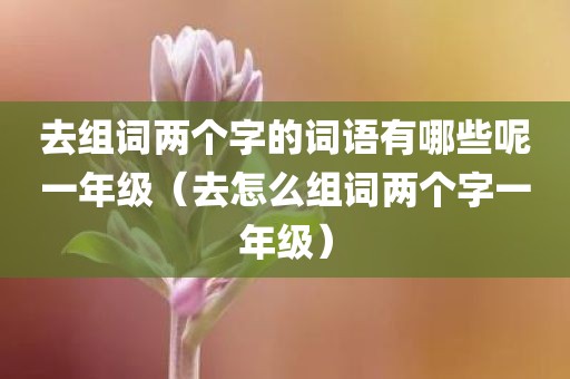 去组词两个字的词语有哪些呢一年级（去怎么组词两个字一年级）