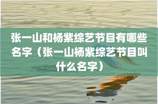 张一山和杨紫综艺节目有哪些名字（张一山杨紫综艺节目叫什么名字）